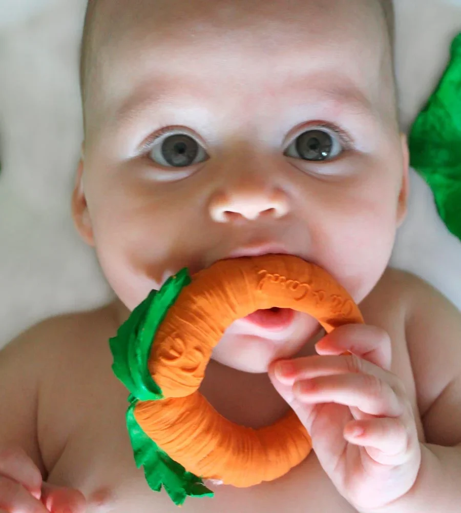 OLI&CAROL – Mordedor Cathy The Carrot