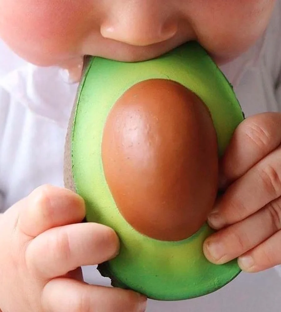 OLI&CAROL – Mordedor Arnold The Avocado