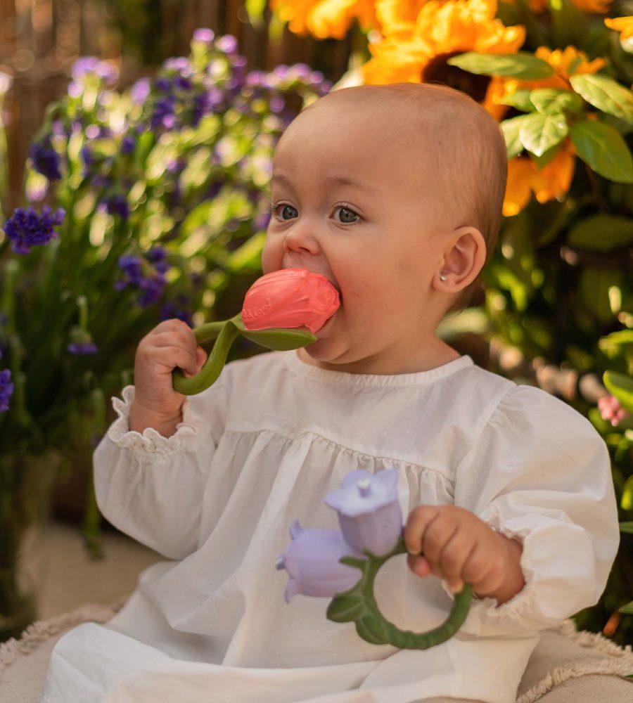 OLI&CAROL – Mordedor Theo The Tulip